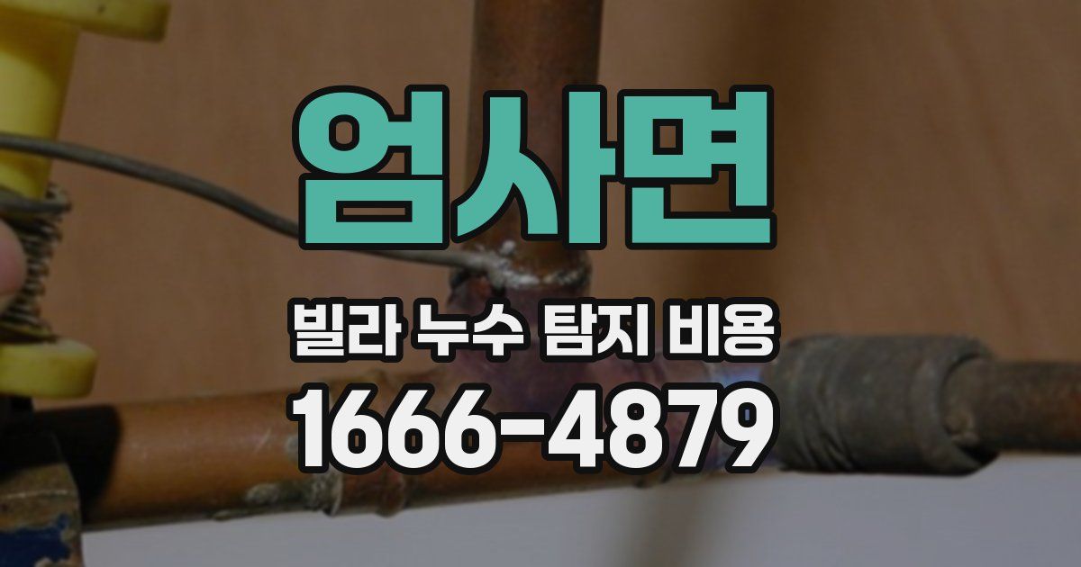 엄사면 빌라 누수 탐지 비용