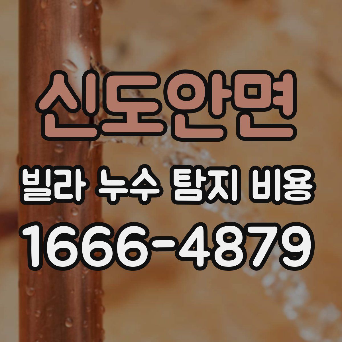 신도안면 빌라 누수 탐지 비용