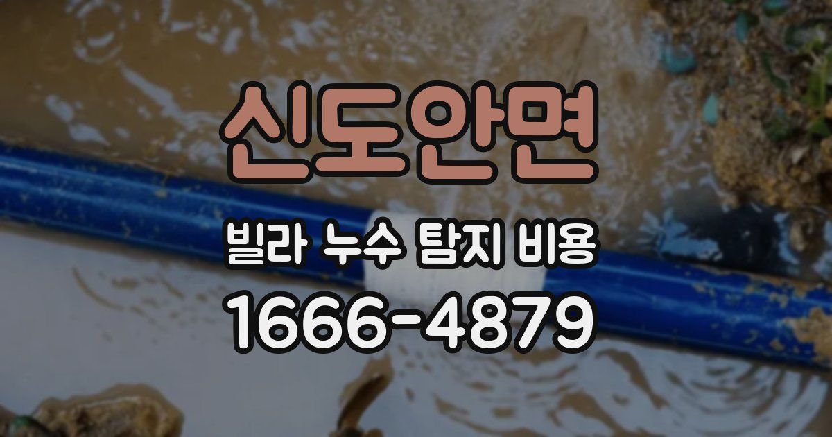 신도안면 빌라 누수 탐지 비용