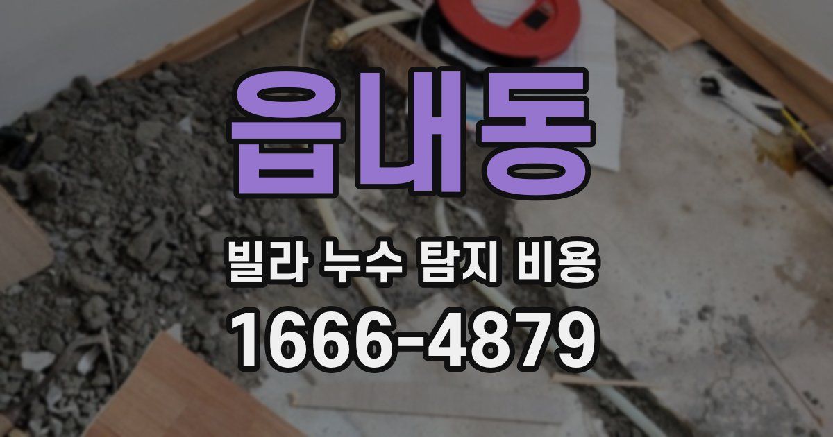 읍내동 빌라 누수 탐지 비용