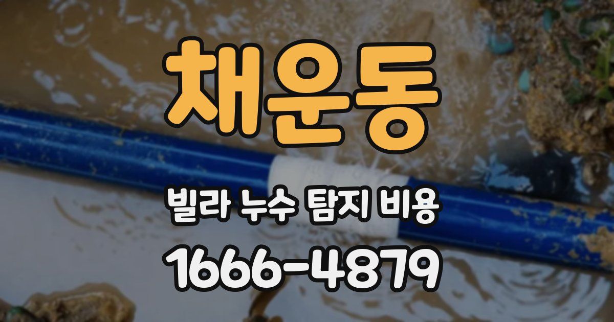 채운동 빌라 누수 탐지 비용