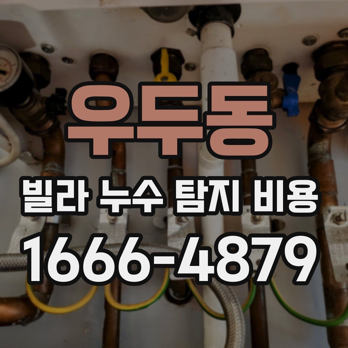 우두동 빌라 누수 탐지 비용