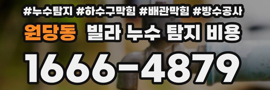 원당동 빌라 누수 탐지 비용