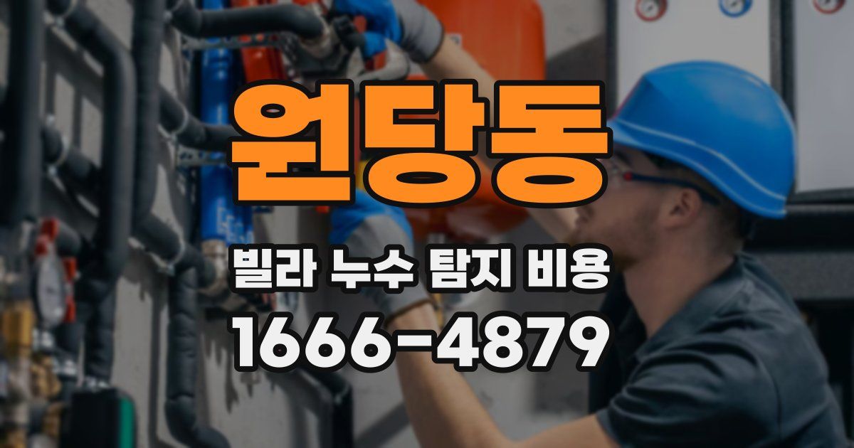 원당동 빌라 누수 탐지 비용