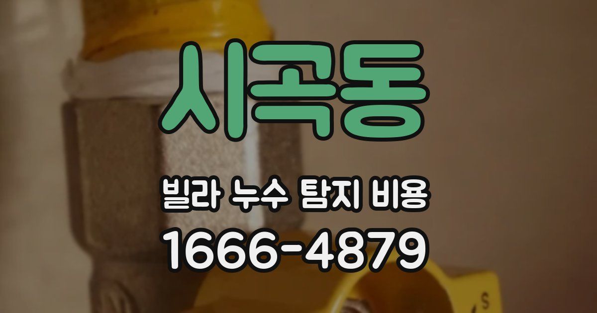 시곡동 빌라 누수 탐지 비용
