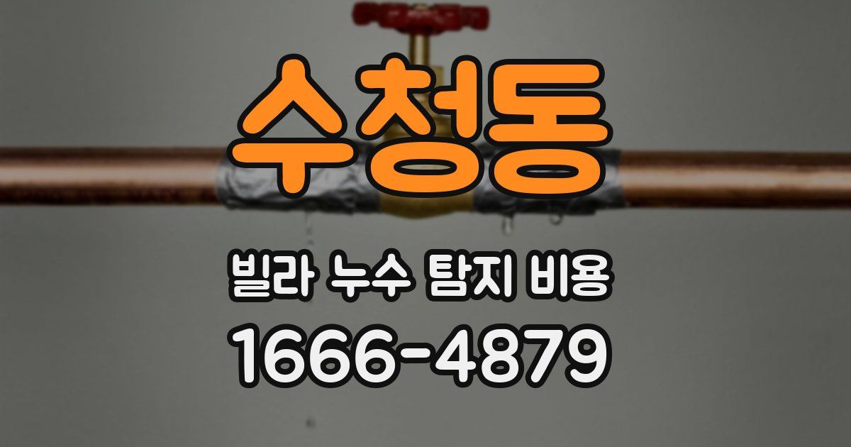 수청동 빌라 누수 탐지 비용