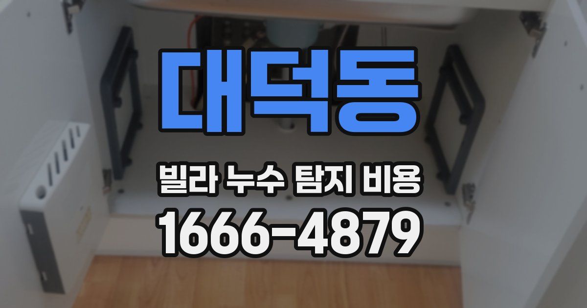 대덕동 빌라 누수 탐지 비용