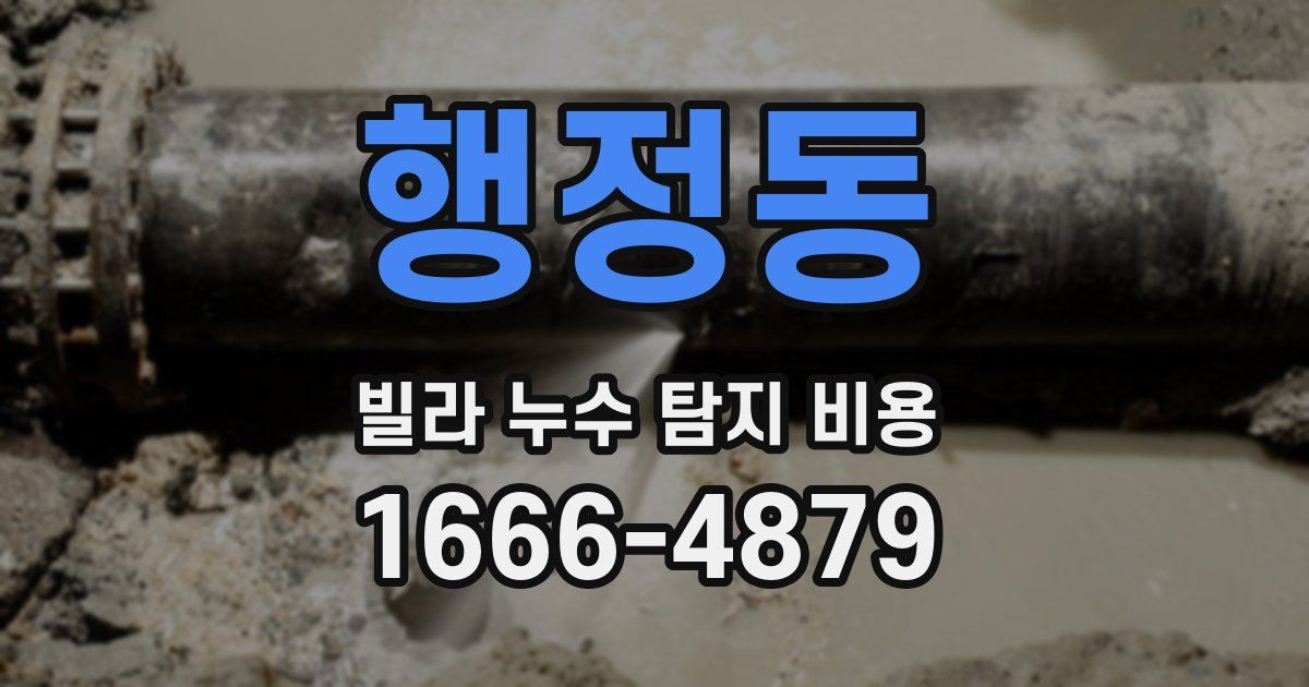 행정동 빌라 누수 탐지 비용