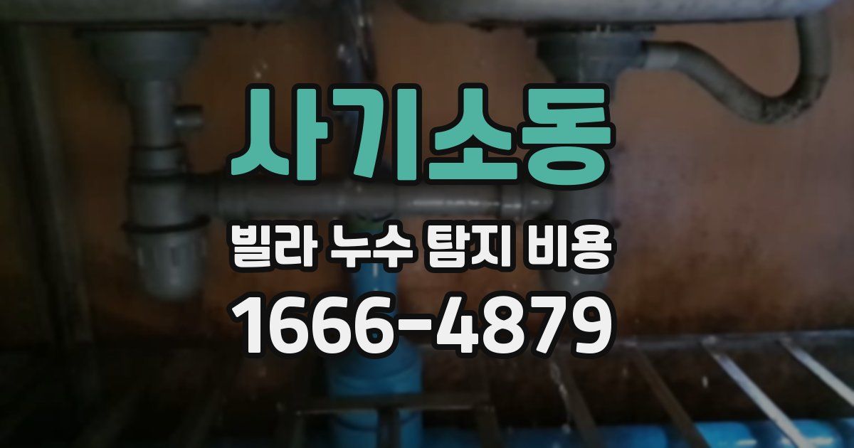 사기소동 빌라 누수 탐지 비용