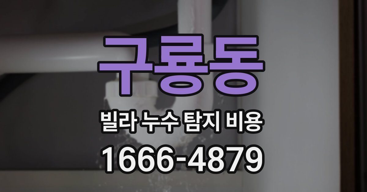 구룡동 빌라 누수 탐지 비용