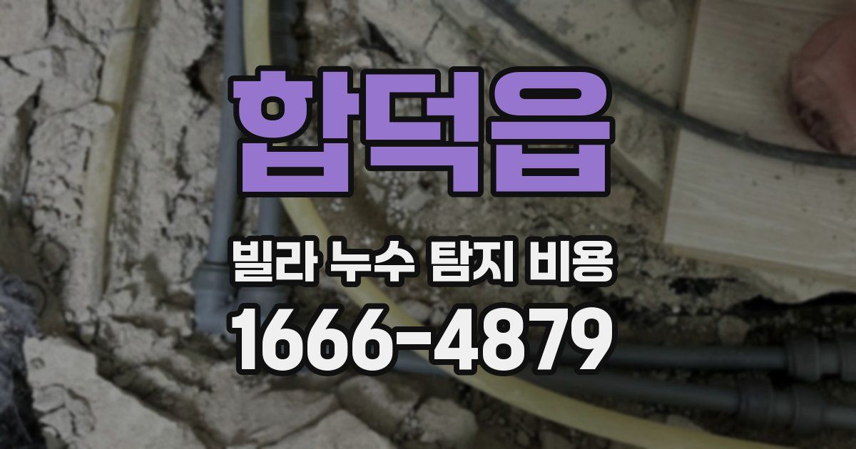 합덕읍 빌라 누수 탐지 비용