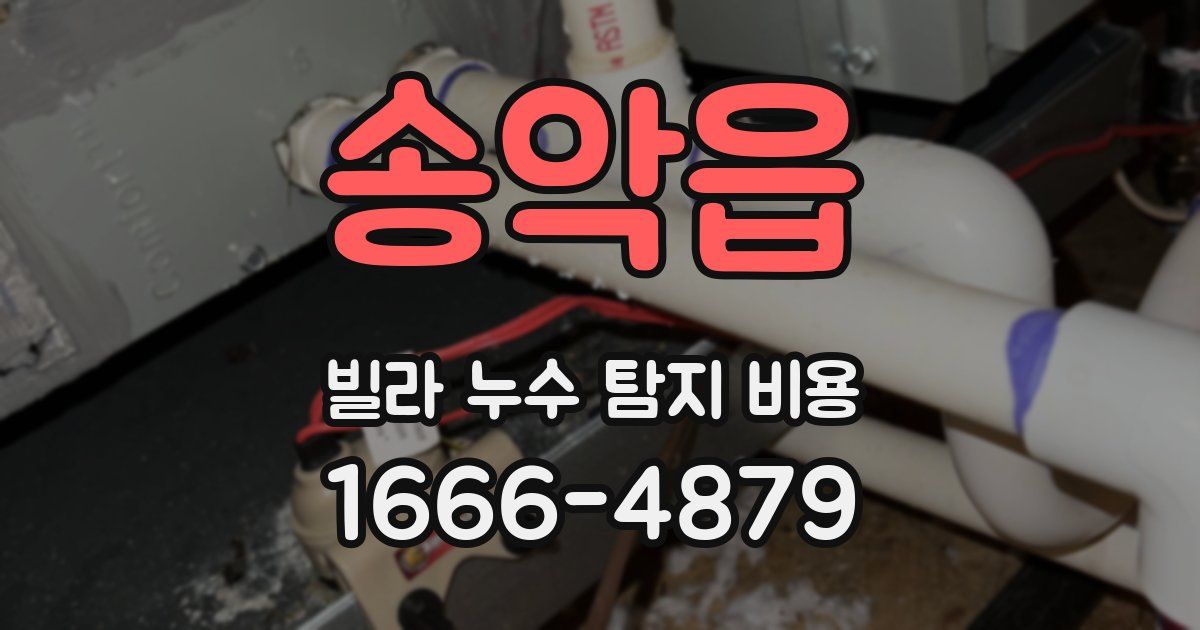 송악읍 빌라 누수 탐지 비용