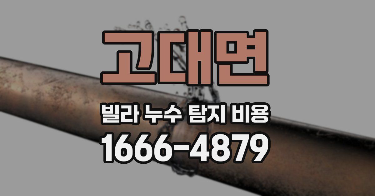 고대면 빌라 누수 탐지 비용