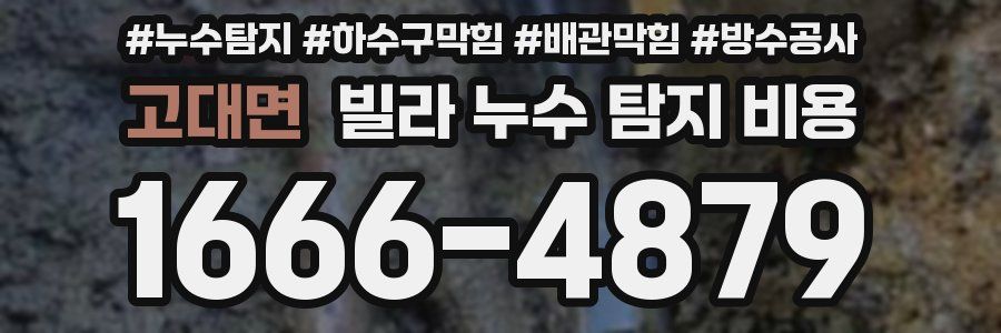 고대면 빌라 누수 탐지 비용