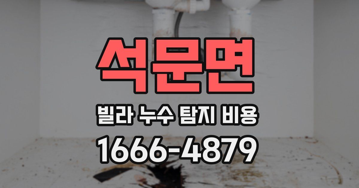 석문면 빌라 누수 탐지 비용