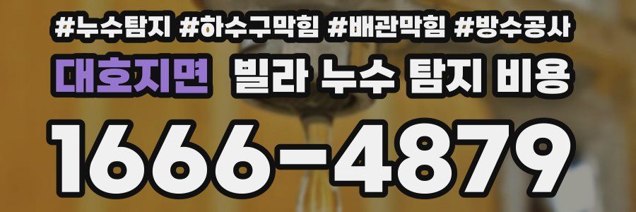 대호지면 빌라 누수 탐지 비용