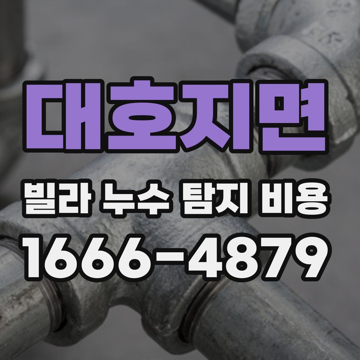 대호지면 빌라 누수 탐지 비용