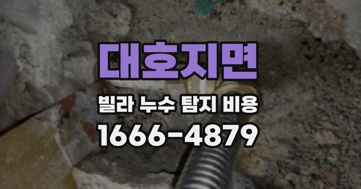 대호지면 빌라 누수 탐지 비용