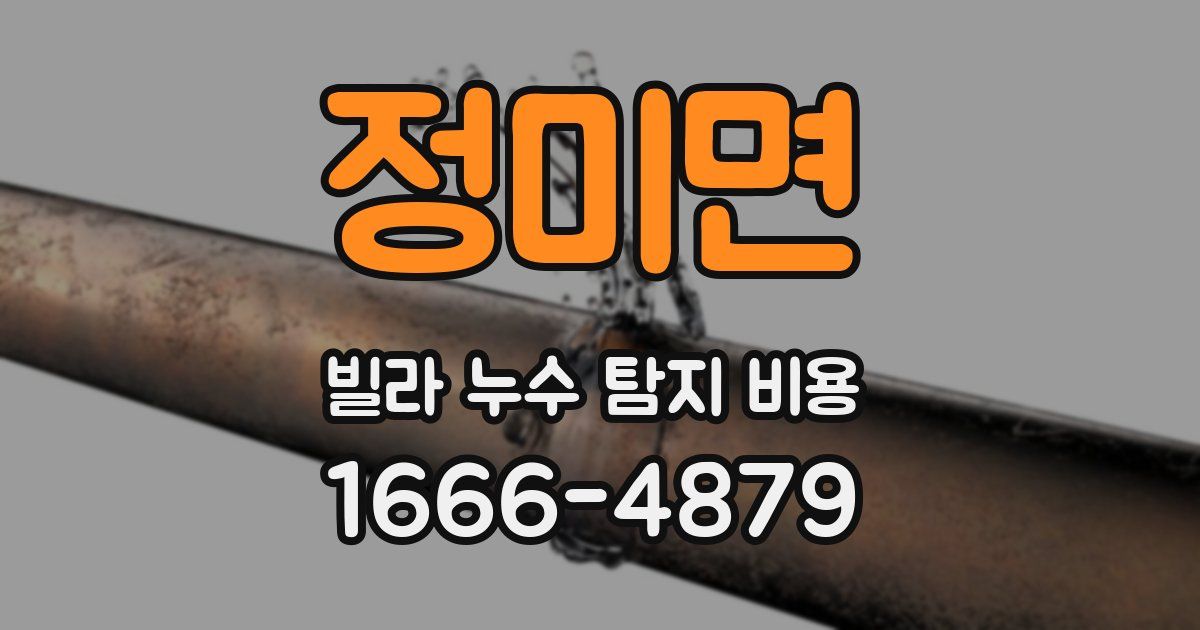 정미면 빌라 누수 탐지 비용