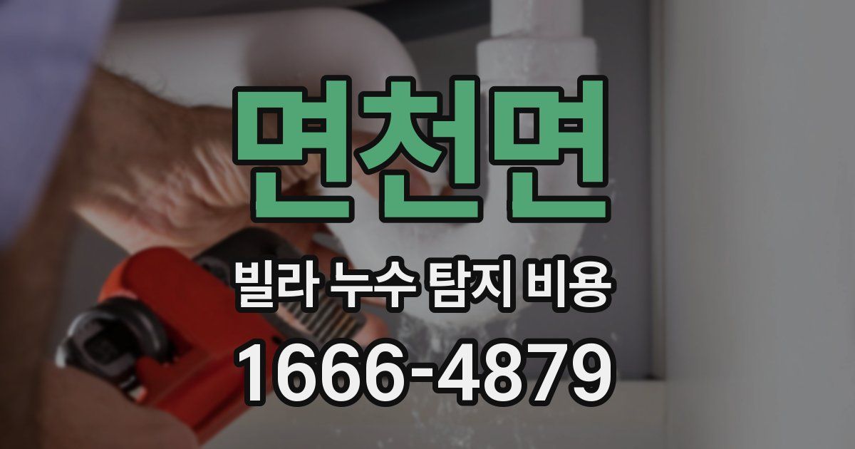 면천면 빌라 누수 탐지 비용
