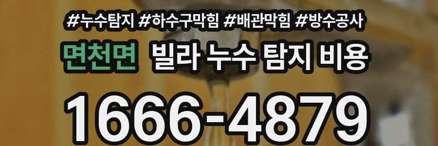 면천면 빌라 누수 탐지 비용