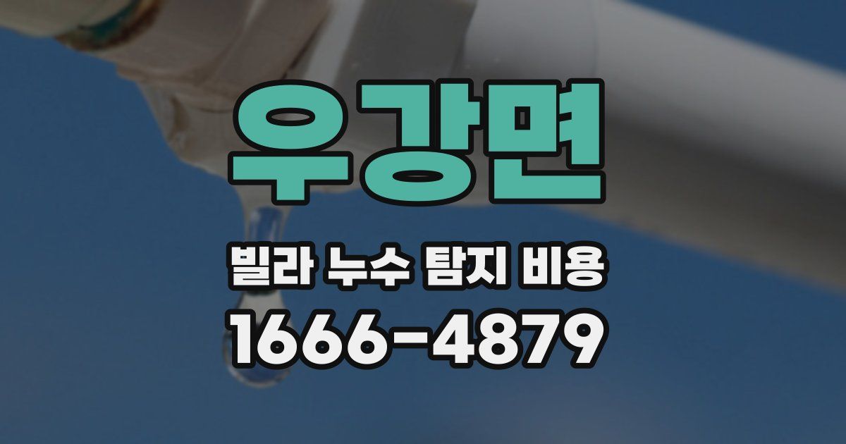 우강면 빌라 누수 탐지 비용