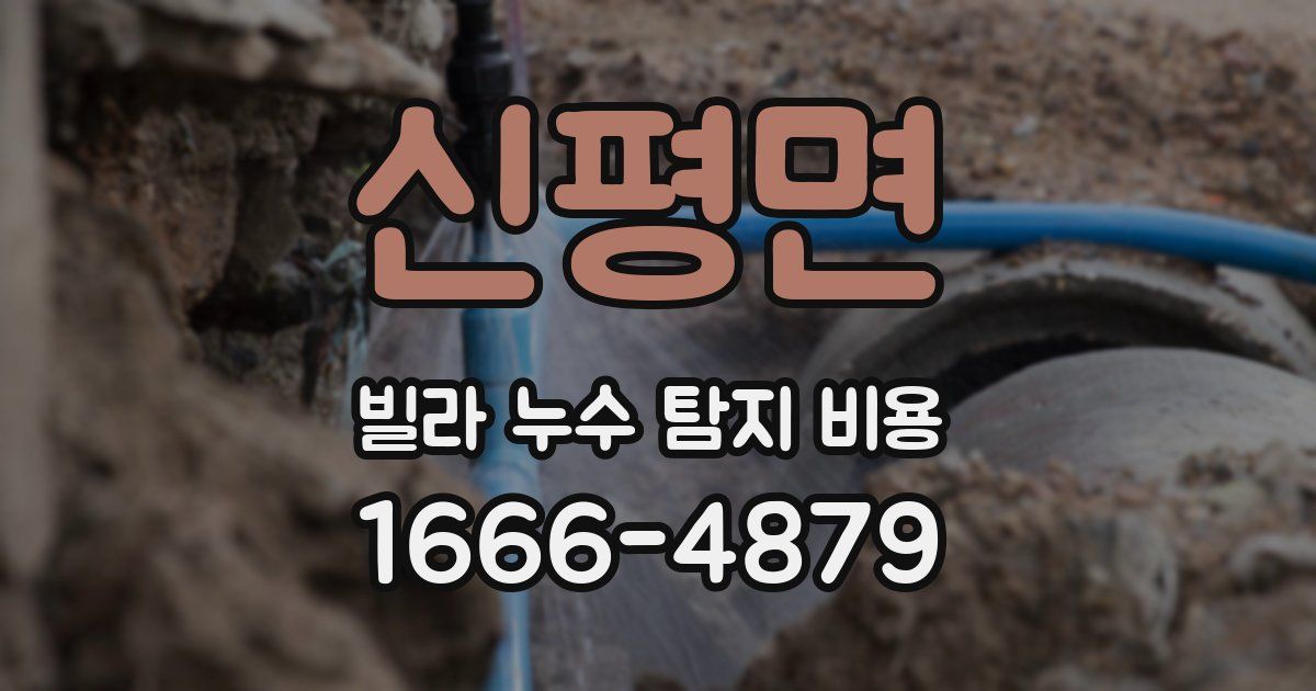 신평면 빌라 누수 탐지 비용