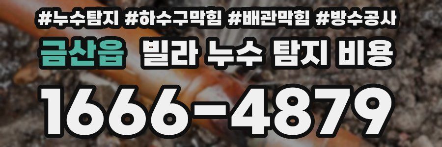 금산읍 빌라 누수 탐지 비용