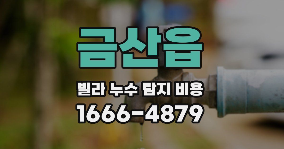 금산읍 빌라 누수 탐지 비용