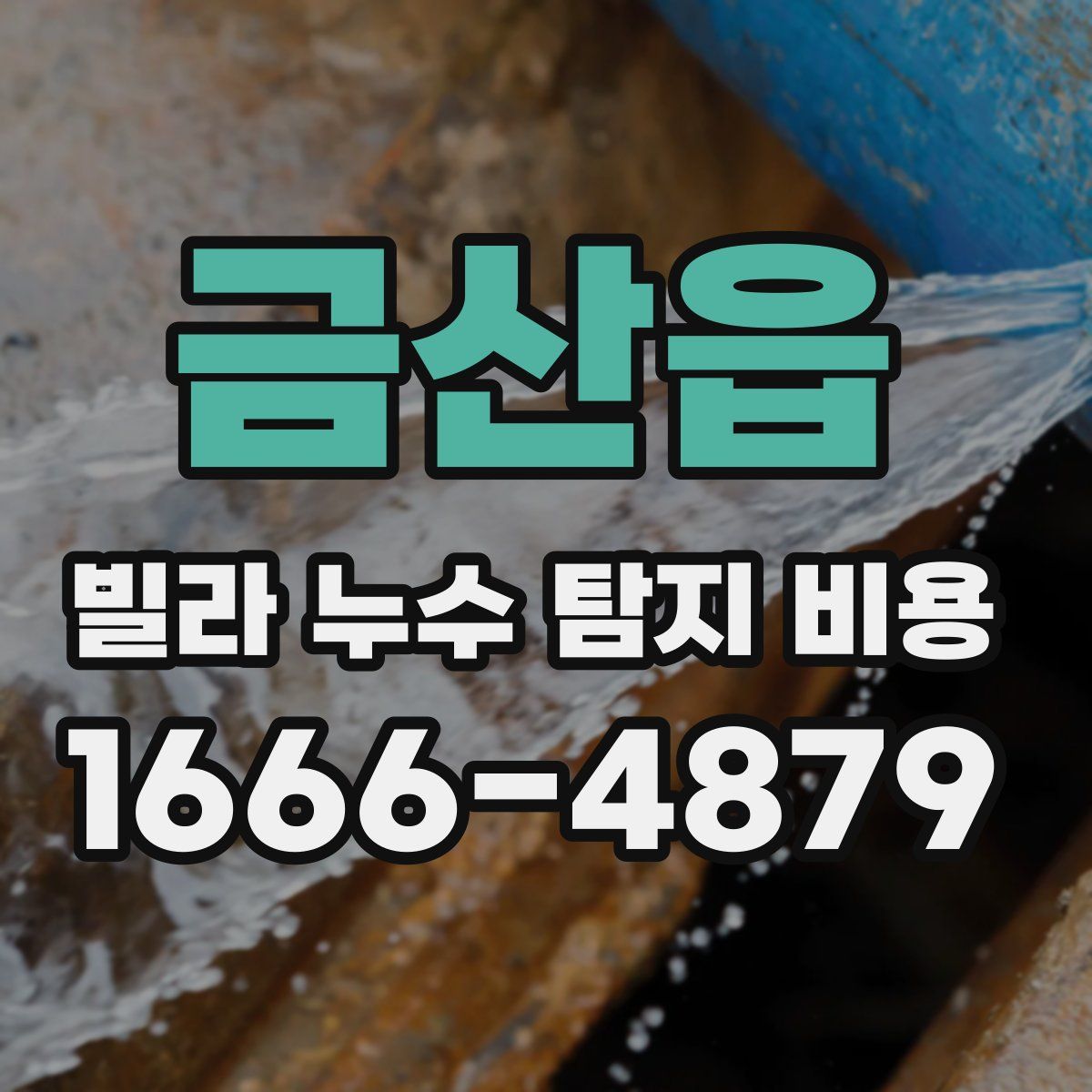 금산읍 빌라 누수 탐지 비용