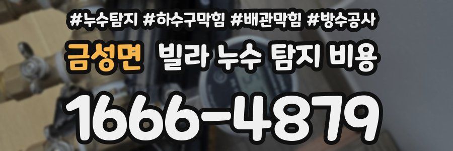 금성면 빌라 누수 탐지 비용