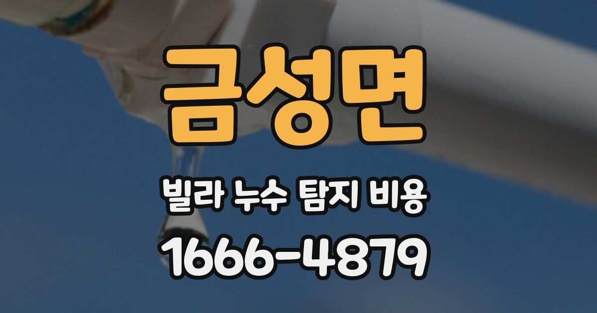 금성면 빌라 누수 탐지 비용