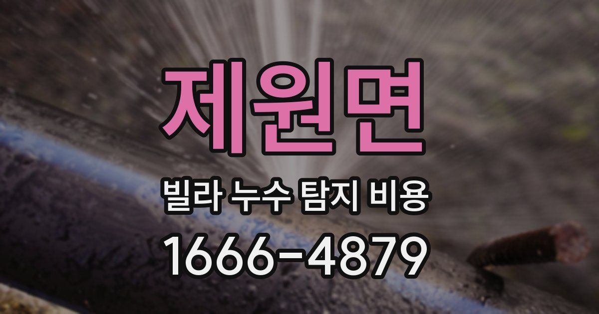 제원면 빌라 누수 탐지 비용