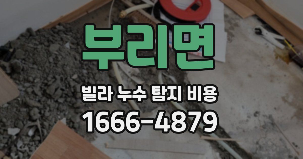부리면 빌라 누수 탐지 비용