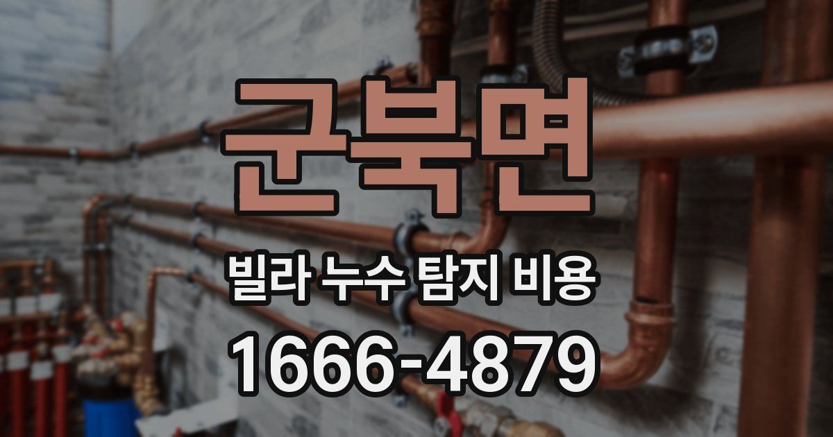 군북면 빌라 누수 탐지 비용