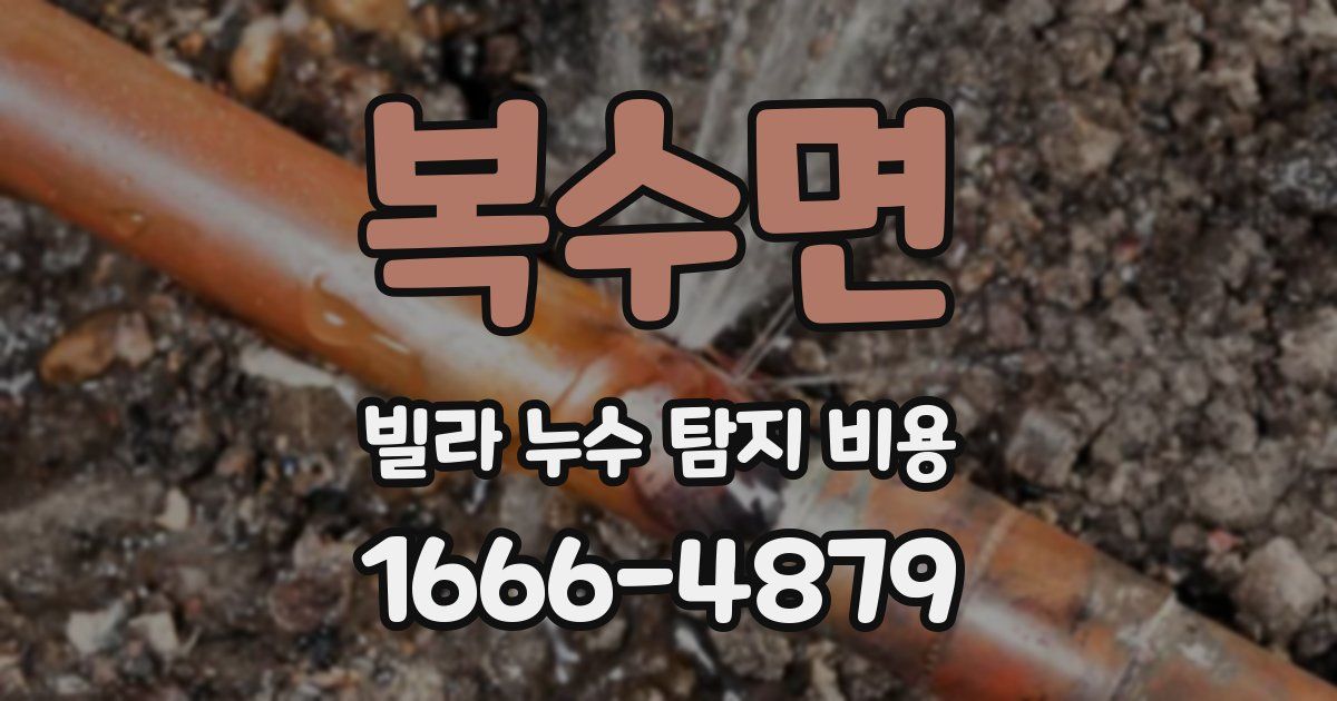 복수면 빌라 누수 탐지 비용