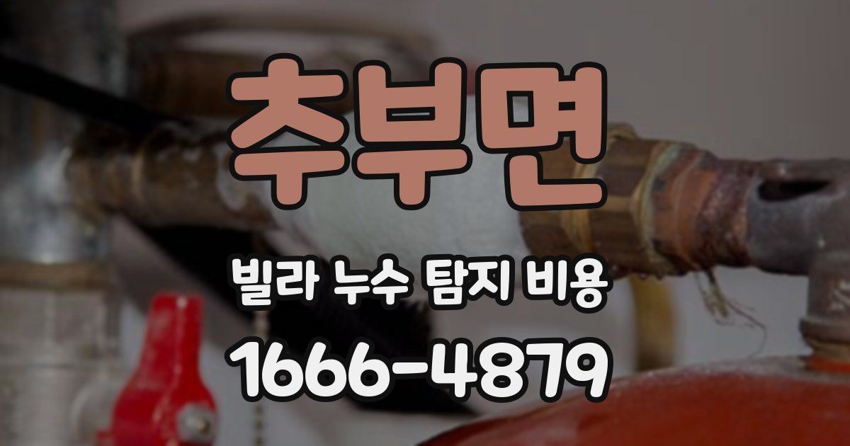 추부면 빌라 누수 탐지 비용