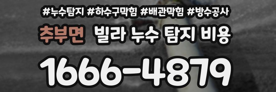 추부면 빌라 누수 탐지 비용