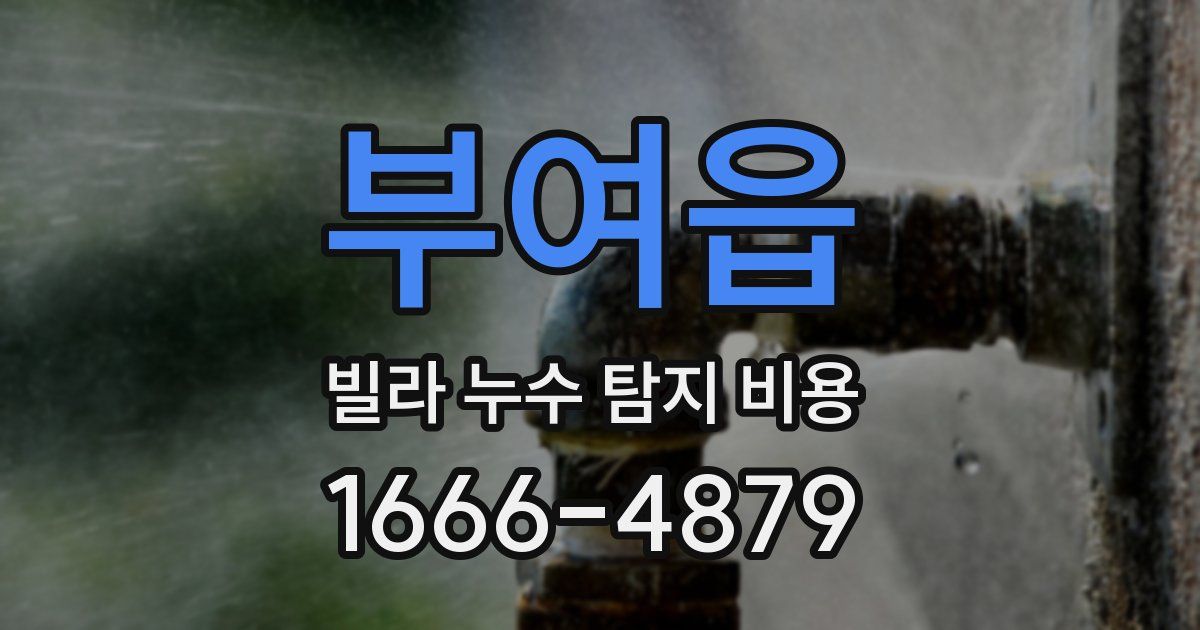 부여읍 빌라 누수 탐지 비용