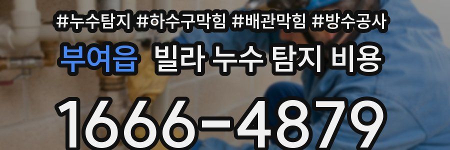 부여읍 빌라 누수 탐지 비용