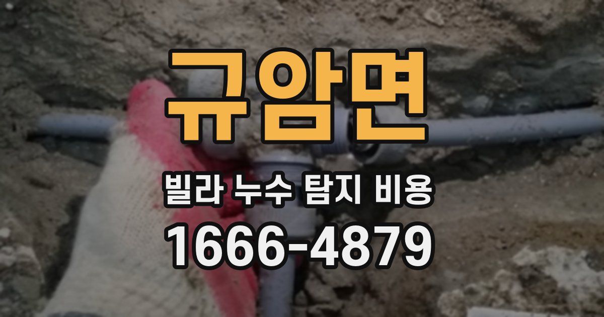 규암면 빌라 누수 탐지 비용