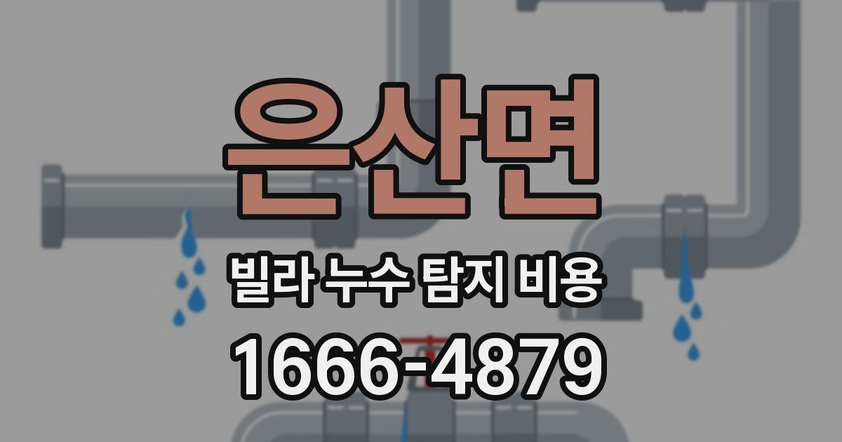 은산면 빌라 누수 탐지 비용