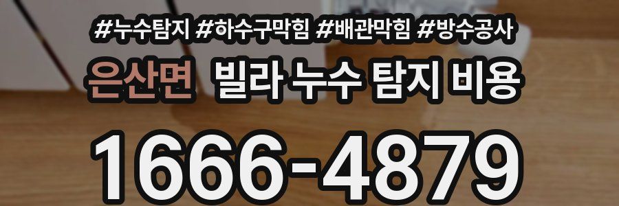 은산면 빌라 누수 탐지 비용