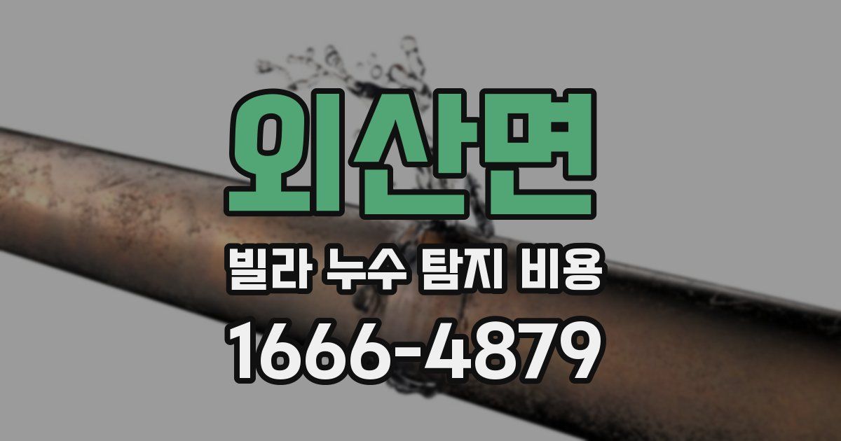 외산면 빌라 누수 탐지 비용