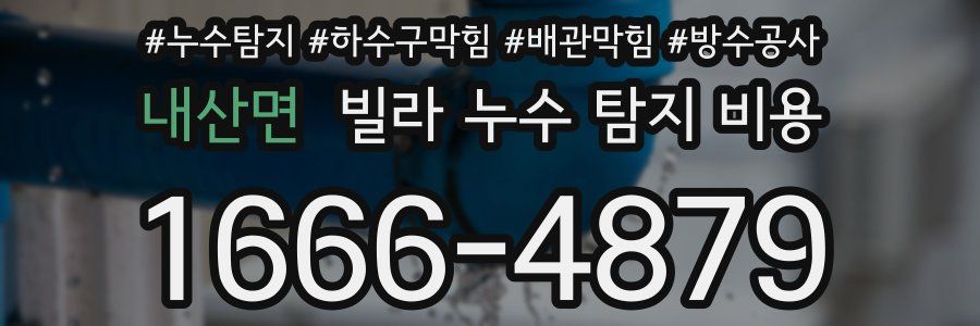 내산면 빌라 누수 탐지 비용