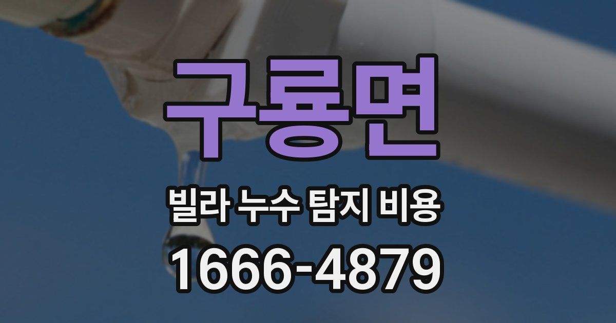 구룡면 빌라 누수 탐지 비용