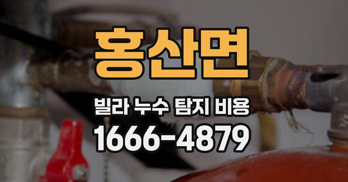 홍산면 빌라 누수 탐지 비용