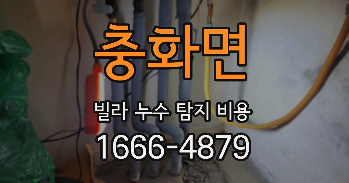 충화면 빌라 누수 탐지 비용