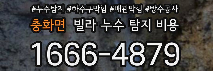 충화면 빌라 누수 탐지 비용
