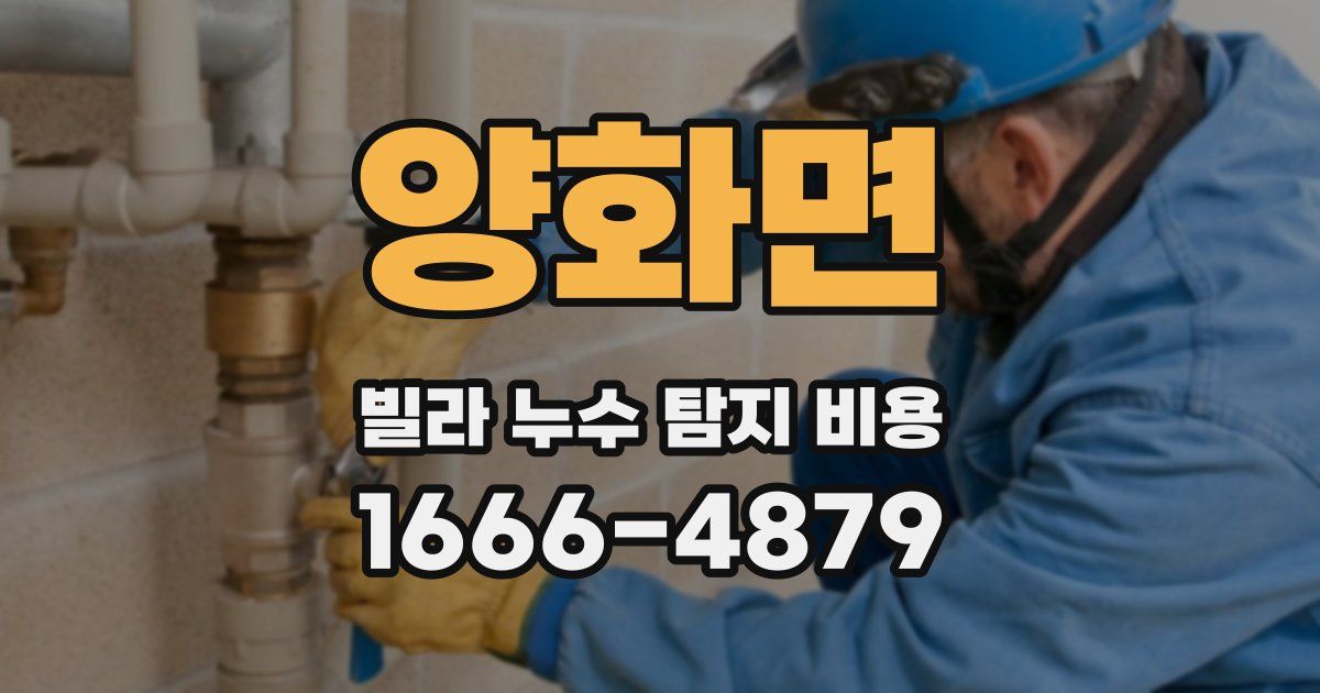 양화면 빌라 누수 탐지 비용
